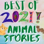 Kid News This Week: Time for the best Newsy Pooloozi animal stories this year! episode logo