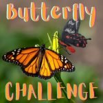 Kid News This Week: Butterfly challenge, Ukraine update and happy take, world&apos;s oldest pants episode logo