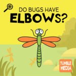 Do Bugs Have Elbows? episode logo