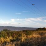 132 A bird watcher’s outpost beneath the telegraph wires episode logo