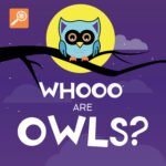 Whooo Are Owls? episode logo