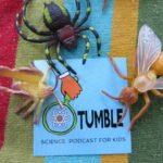 How to Interview a Scientist [BONUS EPISODE] episode logo