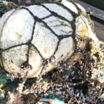 The Voyage of the Ocean Trash with Jenni Brandon episode logo