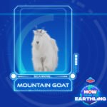 Mountain Goat (9/22/22) episode logo