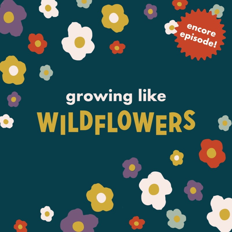 Encore Growing Like Wildflowers from Like You Mindfulness for Kids