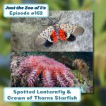 162: Spotted Lanternfly & Crown-of-thorns Starfish episode logo