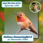 161: Rufous Hummingbird w/ Alexander Vidal episode logo