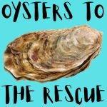 Kid News This Week: Oysters to the rescue, spiders dream, Dubai’s deepest pool, weird UK ice cream episode logo