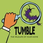 Announcing The Wildlife Of Your Home Podcourse! episode logo