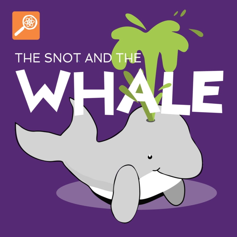 The Snot and the Whale from Tumble - Science Podcast for Kids