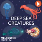 Deep Sea Creatures episode logo