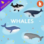 Whales episode logo