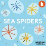 Sea Spiders episode logo