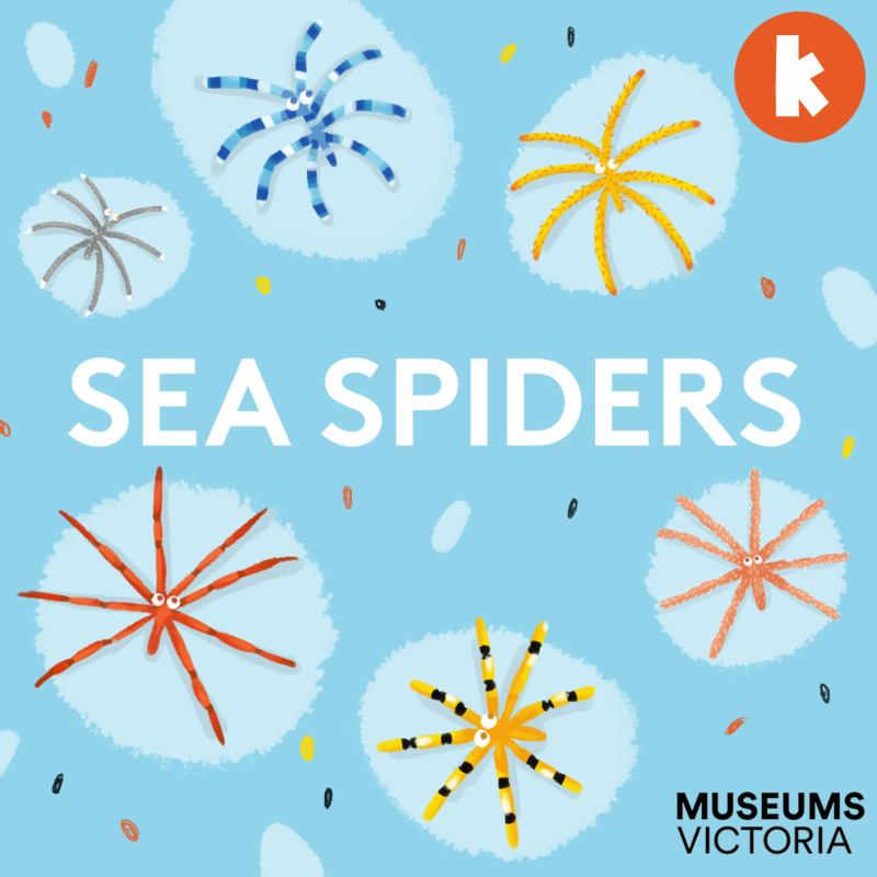 Sea Spiders from The Fact Detectives | Children's Podcast