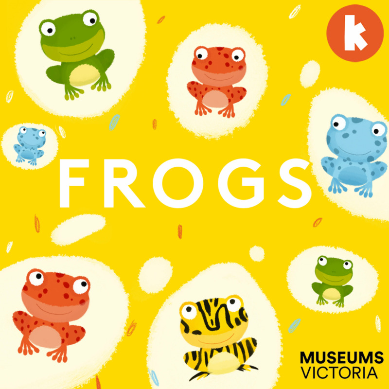 Frogs from The Fact Detectives | Children's Podcast