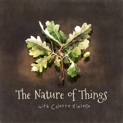 The Nature of Things logo