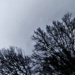 139 Old rafters brewing storm episode logo