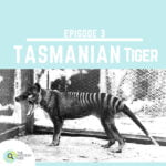 3:Tasmanian Tiger episode logo