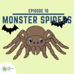 10: Monster Spiders episode logo