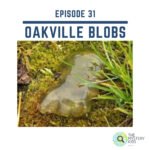 31: Oakville Blobs episode logo
