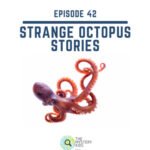 42: Strange Octopus Stories episode logo