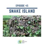 45: Snake Island episode logo