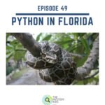 49: Pythons in Florida episode logo