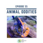 55: Animal Oddities episode logo