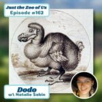 163: The Dodo w/ Natalie Sabin! episode logo
