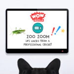 Zoo Zoom Famous: Life Hacks From A Professional Cricket (10/10/22) episode logo