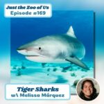 169: Tiger Sharks w/ Melissa Márquez! episode logo