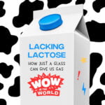 Lacking Lactose: How Just A Glass Can Give Us Gas! (11/7/22) episode logo