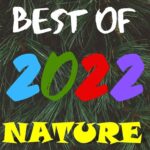 Kid News This Week: Best nature stories of 2022! episode logo