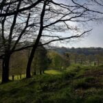149 Dawn birdsong from Derbyshire (a brighten up January special 1/4) episode logo