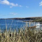 150 Looking down on Coldingham Sands (January special 2 / 4) episode logo