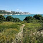 152 High above Folkestone beach episode logo
