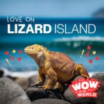 Love on Lizard Island (1/16/23) episode logo