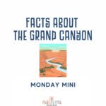 Facts about the Grand Canyon episode logo