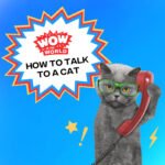 How To Talk To A Cat (1/9/23) episode logo