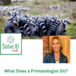 What Does a Primatologist Do? episode logo