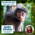 179: Spider Monkey w/ Dr. Michelle Rodrigues! episode logo