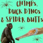 Kid News This Week: Chimp gestures, new dino, seaspider butt, Ticketmaster apologies, Lantern Festival, treasure hunt episode logo