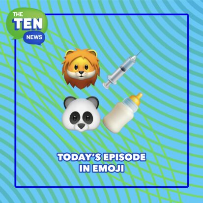 Checking In With Our Animal Friends 🐼 from The Ten News | Children's Podcast Checking In With Our Animal Friends 🐼 from The Ten News | Children's Podcast