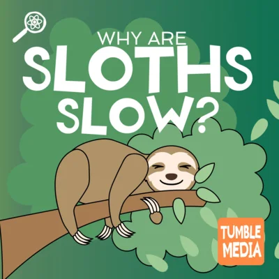 Podcast Logo