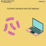 Epi 101: How bacteria can help us make new smartphones and laptops episode logo