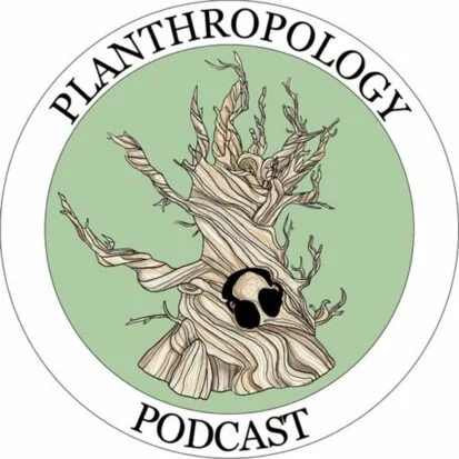 Podcast Logo