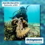 183: Octopuses w/ Chelsea Bennice, the OctoGirl! episode logo