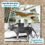 185: Megalodon & Thylacine episode logo