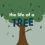 The Life of a Tree episode logo