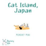 MM: Cat Island, Japan episode logo